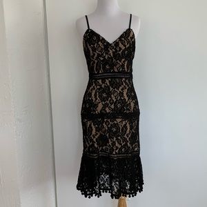 Aqua Black Lace Dress